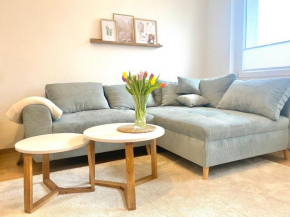 Ferienwohnung Hexenlandeplatz